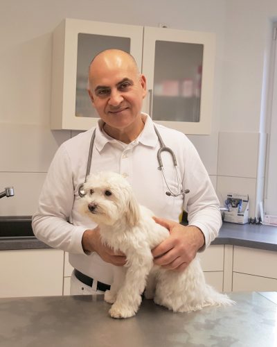 Dr. Mojtaba Ordobazari Tierarzt